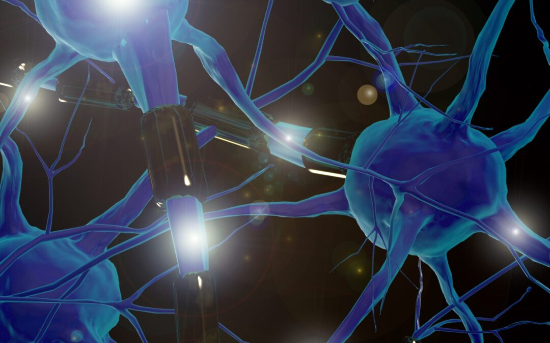 Neuro ¿qué?… sobre neurociencia y otras neuros